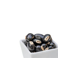 Mucuna Pruriens