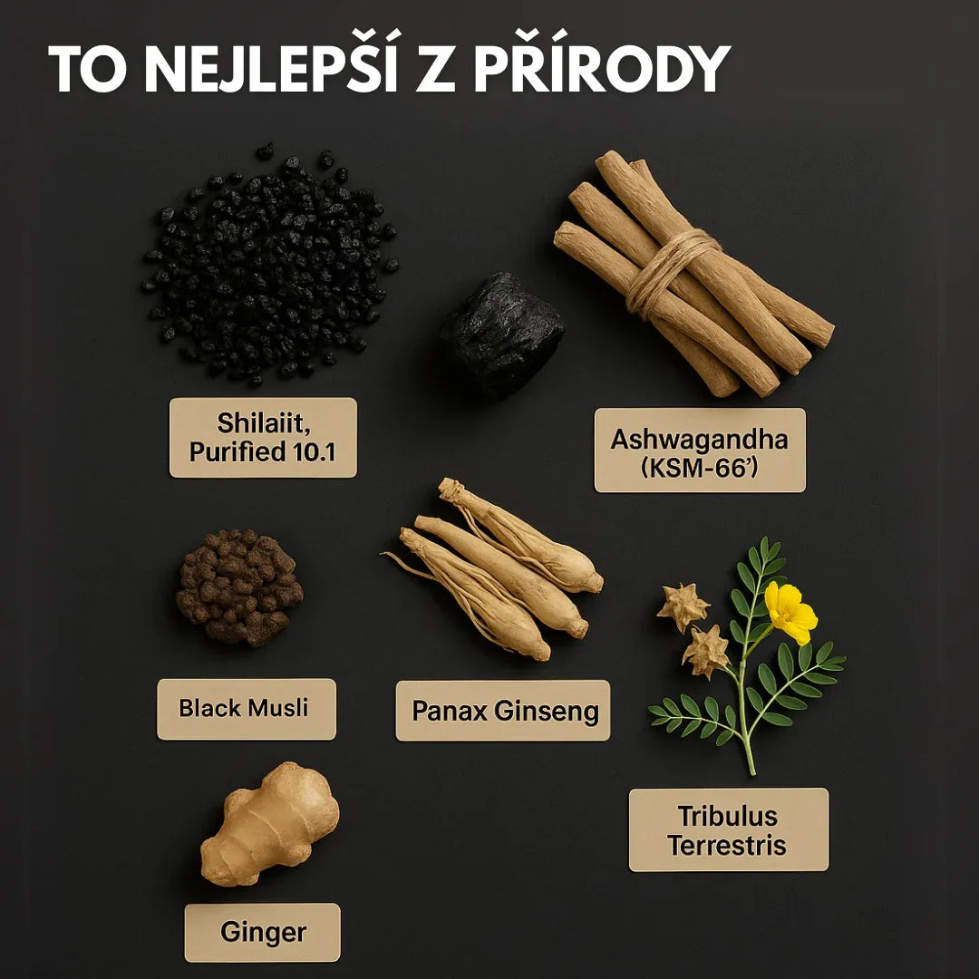 Gumové Bonbony s čistým Shilajitem z Himálaje – Aphroly®